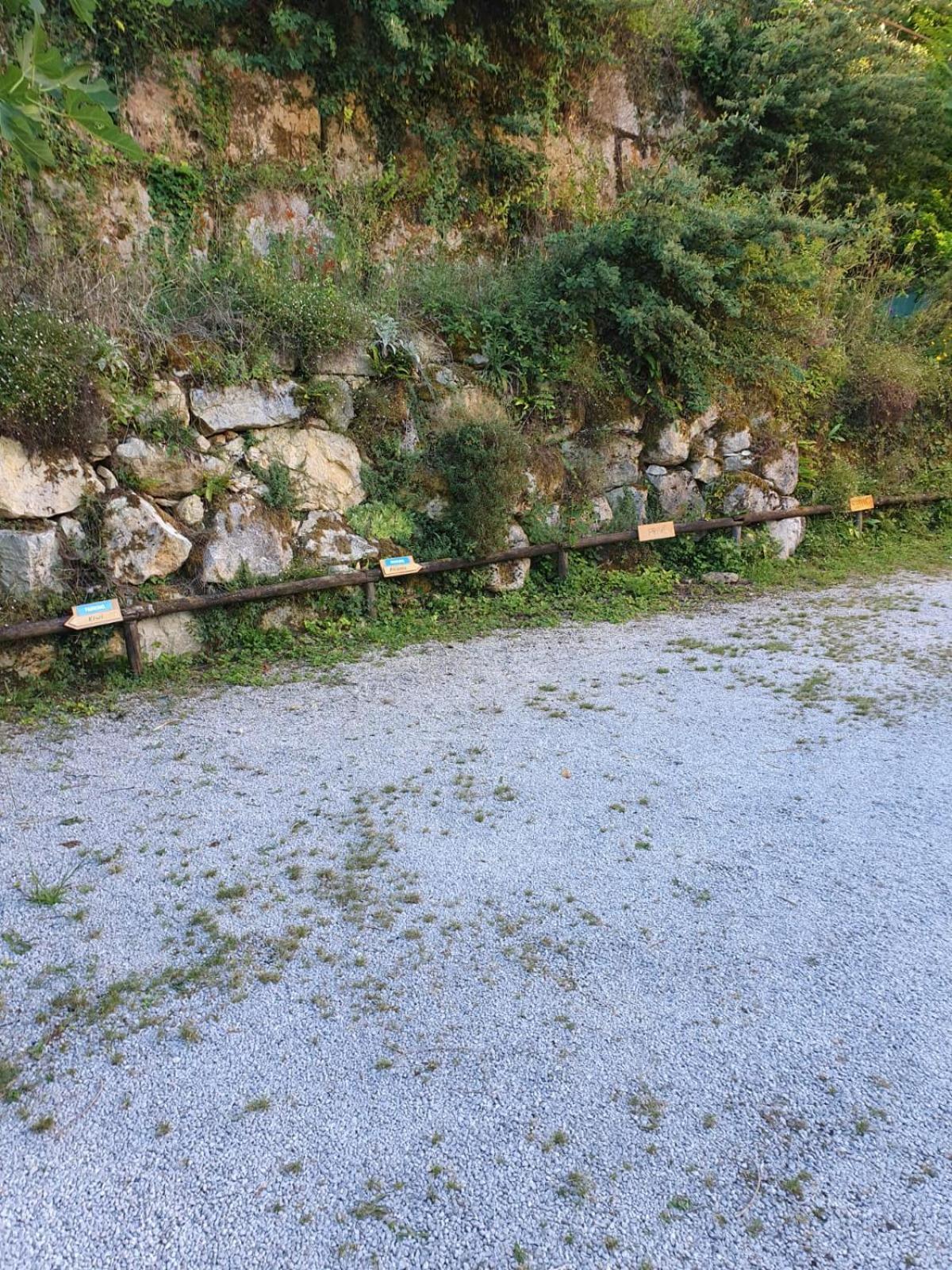 Residence Les Trois Jardins Avec Wifi Et Parking Gratuit Sarlat-la-Caneda Εξωτερικό φωτογραφία