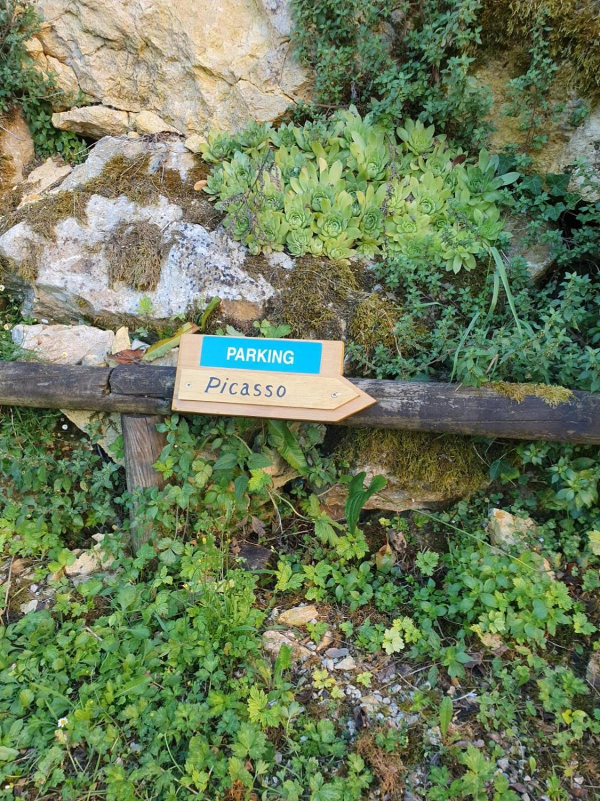 Residence Les Trois Jardins Avec Wifi Et Parking Gratuit Sarlat-la-Caneda Εξωτερικό φωτογραφία